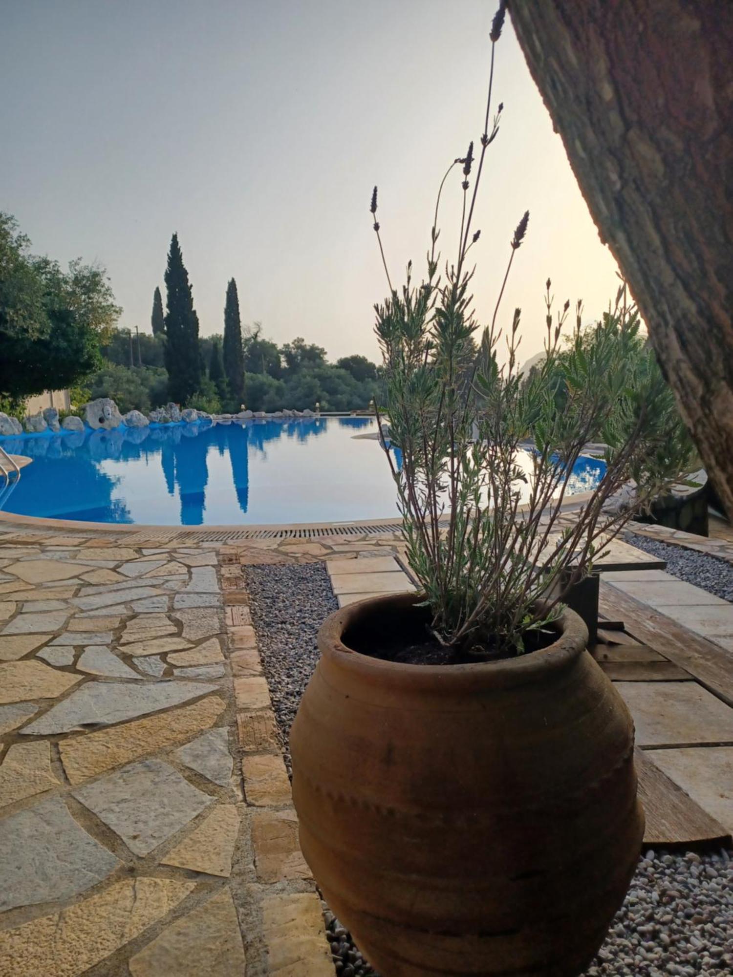 ליאפאדס Medusa Lux Apartments מראה חיצוני תמונה